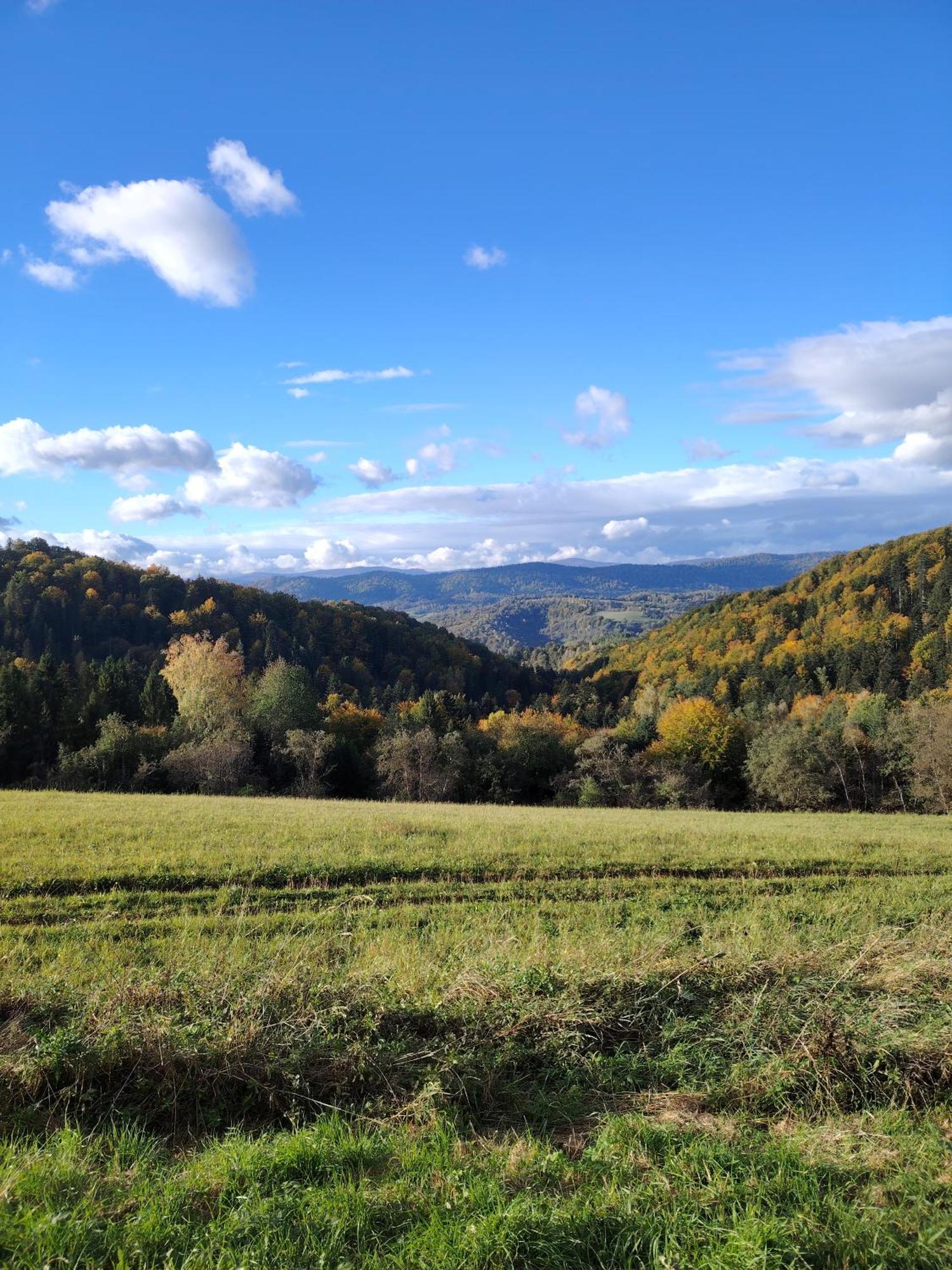 Lisi Zakatek Vila Comuna de Czarna Exterior foto